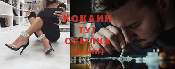 винт Снежногорск