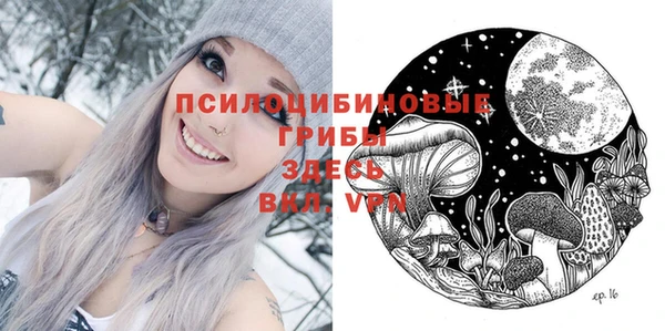 винт Снежногорск