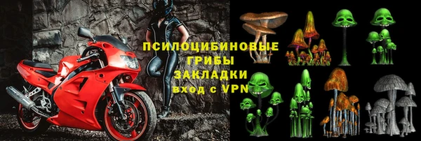 винт Снежногорск